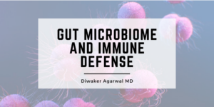 Gut Microbiome and Immune Defense