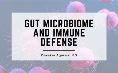 Gut Microbiome and Immune Defense: How Your Inner Ecosystem Protects You