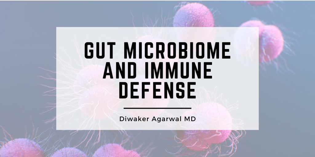 Gut Microbiome and Immune Defense
